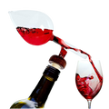 Wine Aerator And Decanter Premium Barware Gift Elegant Drinkware Collection